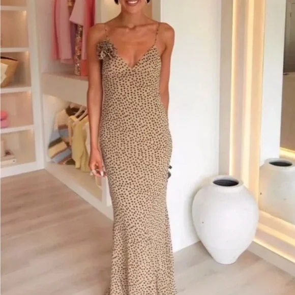 Zara Tan Maxi Dress with Black Dots - Picture 8 of 12